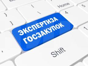 Экспертиза госзакупок Экспертиза госзакупок
